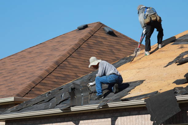  Ray City, GA Roofing repair and installation Pros