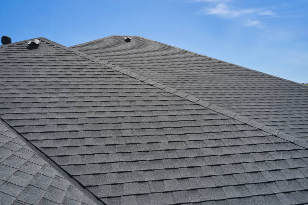 Best Solar Panel Roofing Installation  in Ray City, GA